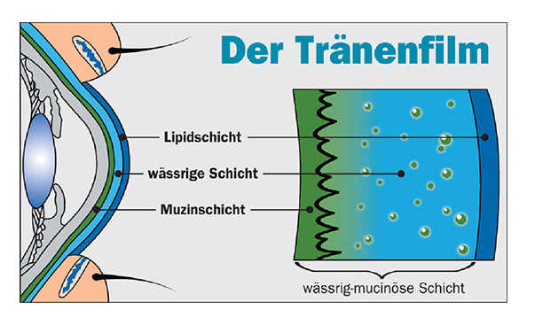 {7815CEFD-DD22-468B-823E-BB72F18CDCDA}