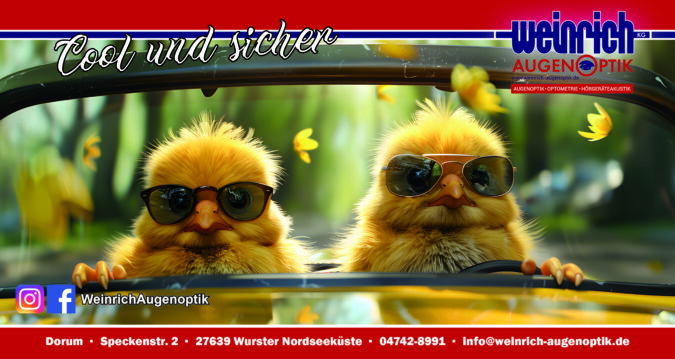 Sonnenbrille Maxikarte 125×235- 2025 fertig