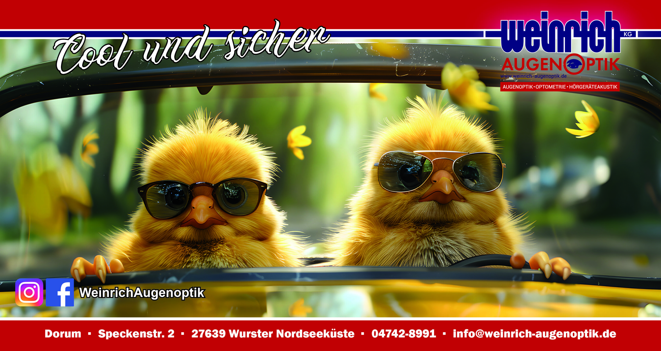 Sonnenbrille Maxikarte 125×235- 2025 fertig